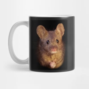 Mouse with cold hands Mug